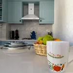 Mesude Hanim 